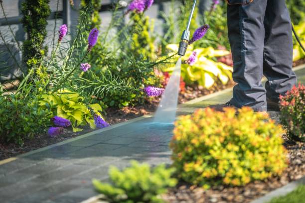 Best Deck and Patio Pressure Washing in Homestead, PA